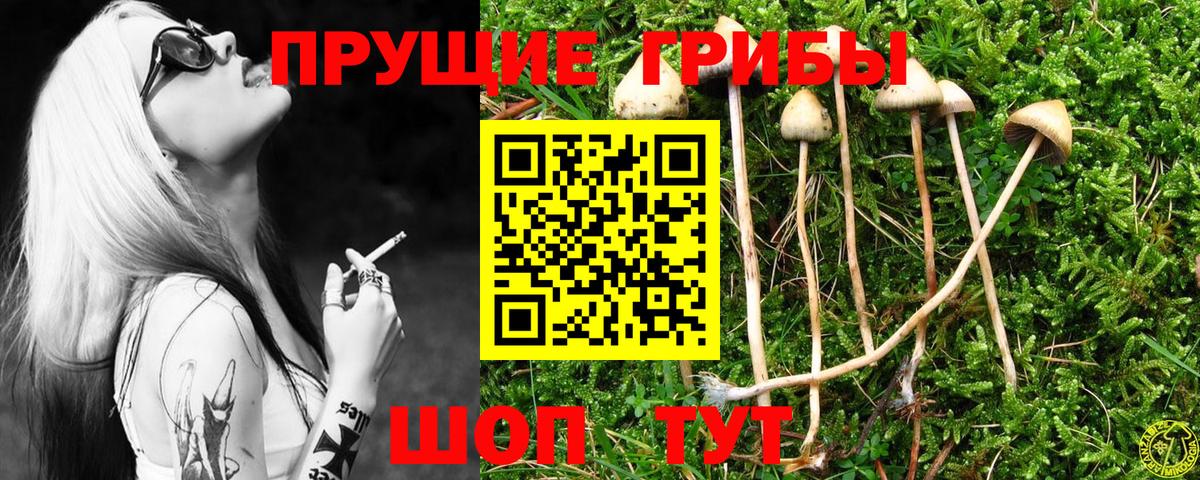 Галлюциногенные грибы Psilocybe  Вход с VPN  Галлюциногенные грибы GOLDEN TEACHER  Хабаровск 