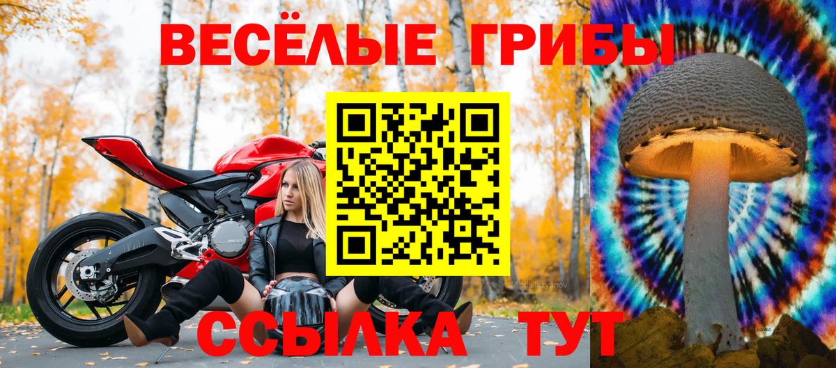 Галлюциногенные грибы мухоморы Хабаровск
